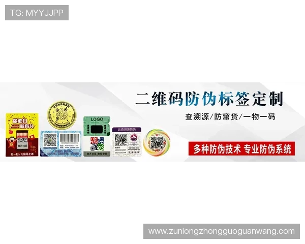 凯时KS登录入口官方最新版，确保账号安全与顺畅体验