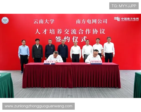 尊龙集团简介：合作伙伴关系与行业合作的战略布局