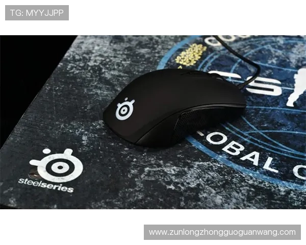 尊龙app下载网址大全：涵盖最新版本、稳定安全的游戏下载资源全方位介绍