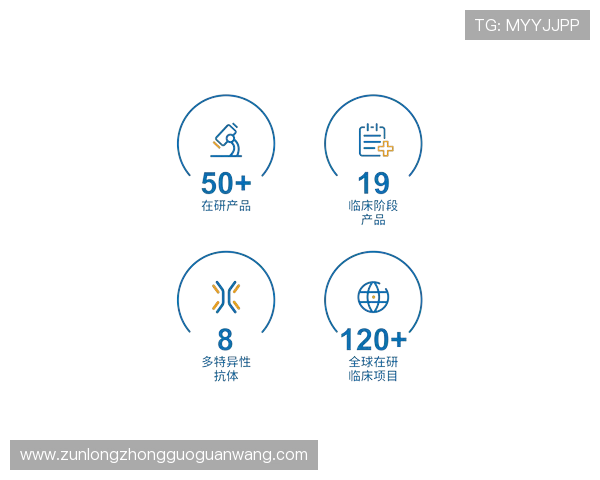 尊龙凯时博：用户评价与平台信誉度全面分析与建议