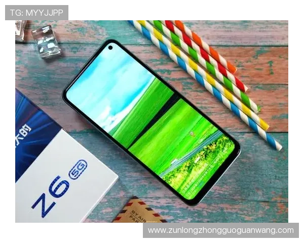 Z6就是博：结合实际案例讲解Z6在企业中的成功应用经验