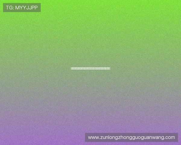 伊拉克挪威世界杯纪念品推荐:收藏爱好者必备的精彩选择